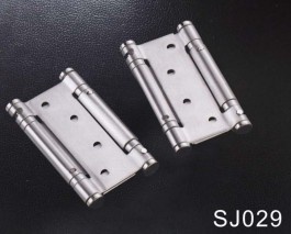 SJ029
